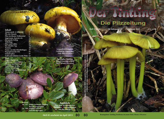 Umschlag und Rückseite von Tintling 80