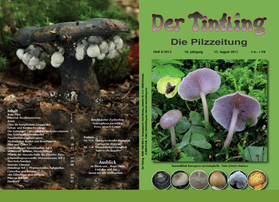 Umschlag und Rückseite von Tintling 83