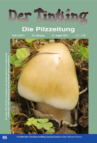 Umschlag Tintling 95 mit dem Verfrbender Scheidenstreifling Amanita battarae