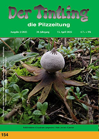 Titelblatt Tintling 154