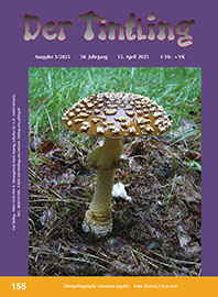 Titelblatt Tintling 155