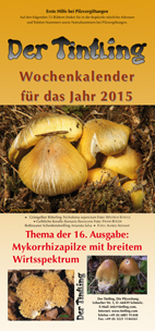 Deckblatt Kalender 2015