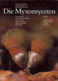 Die Myxomyceten Band 1